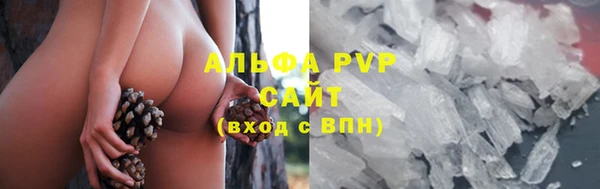 гашик Нефтегорск