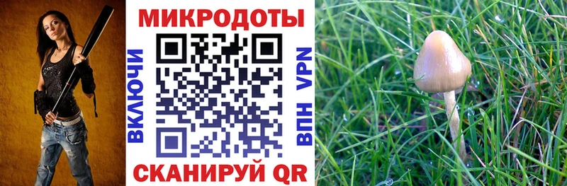 Псилоцибиновые грибы ЛСД Купить Котлас